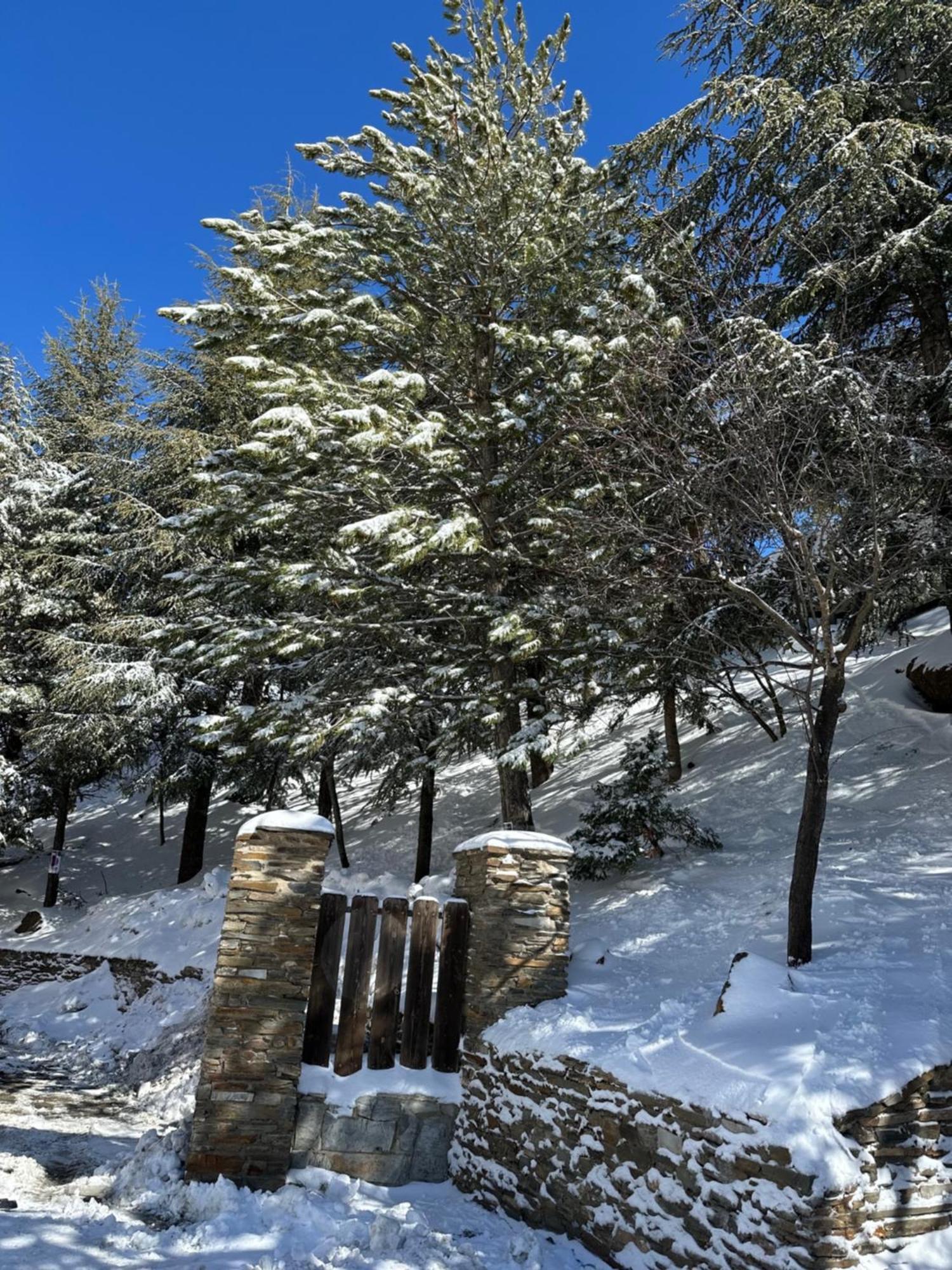 Appartamento Gold Sierra Nevada